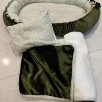 جا خواب سگ و گربه