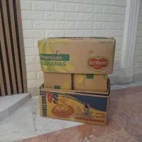 کارتون موزی (جعبه موزی اسباب کشی)