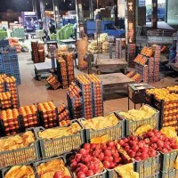 دو عدد نیروی ورزیده میدان بار