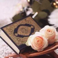فقد ۱۷۰ تومن
