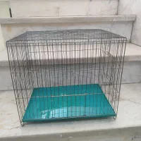 قفس مرغ عشق و فنچ