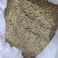 فروش عدس درجه یک