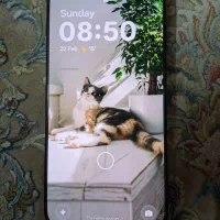 وان پلاس ۱۵ مشکی