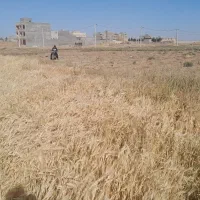 زمین-مسکونی