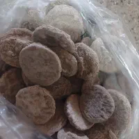 کشک بیرجندی