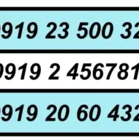 0919.32.700.32|سیم‌کارت|تهران, تهرانسر شمالی|دیوار