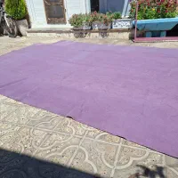 موکت|موکت|نهاوند, |دیوار