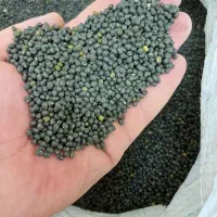 حبوبات ماش سیاه چیتی لپه عدس نخود  کالابرگ پذیرفته