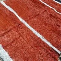 چمن STOK|خدمات باغبانی و درختکاری|شیراز, گل سرخ|دیوار