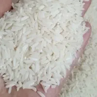 برنج هاشمی