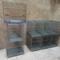 قفس سهره سایز۳و۴ غلامی ارمان آلفا
