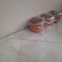 چند عدد حبدان مسی