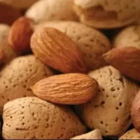 خرید وفروش بادام نقدی