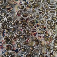 کبوتر قزوین|پرنده|قزوین, |دیوار