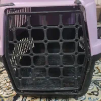 باکس حیوانات
