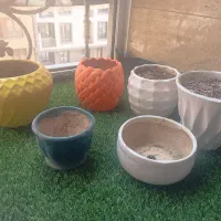 گلدان شش عدد
