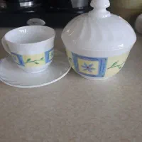 فنجان نلبکی ارکوپال فرانسه