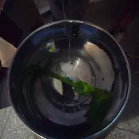 سبزی خورد کن