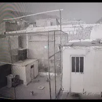 پرون کبوتر فروشی درجه یک همه چیز تکمیل
