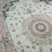 فرش|فرش|رشت, معلم|دیوار