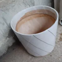 حراج|گل و گیاه طبیعی|مسجد سلیمان, |دیوار