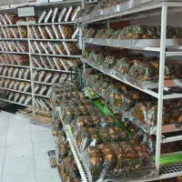 کیک یزدی|خوردنی و آشامیدنی|اصفهان, شاه پسند|دیوار