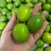 لیمو پوست کاغذی