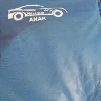 توری دودی شیشه پراید