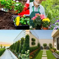 آقای نوری