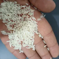 برنج هاشمی