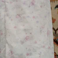 چادرنو