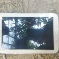 طبلت نت ۸