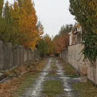 باغ-میوه