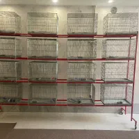 قفس پرنده