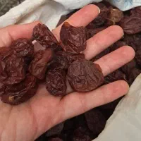 الو خشک تمیز