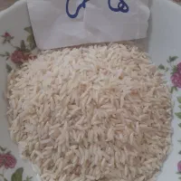 برنج هاشمی و شیرودی طارم درجه یک