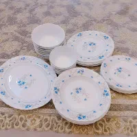 ارکوپال ابی نو و دکوری اسب