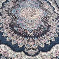 یک جفت ۱۲متری ۷۰۰ شانه ارکیده سورمه ای