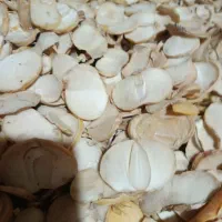 موسیر اسلایس