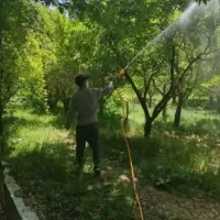 خدمات باغبانی سمپاشی تعویض‌خاک گلدان و باغچه
