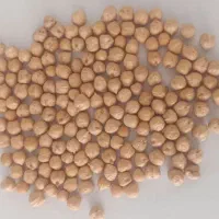 نخود و لپه روسیه درجه یک