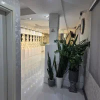 همیار جهت انجام امور پیج
