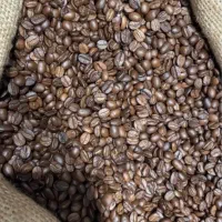 قهوه مصرف خانگی قیمت عممده