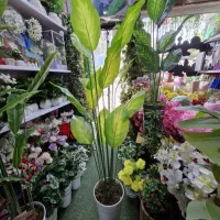 درختچه مصنوعی تزئینی سبز