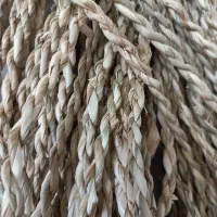 طناب حصیری)(ویریس)عمده