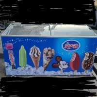 یخچال بستنی دودر کاملاسالم درحدنو