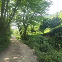 زمین-متراژ-بالا