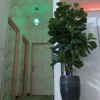 گل و گیاه مصنوعی