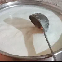 پخش روزانه شیر چرخی گاوی