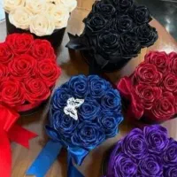 باکس گل رز در رنگ‌های متنوع